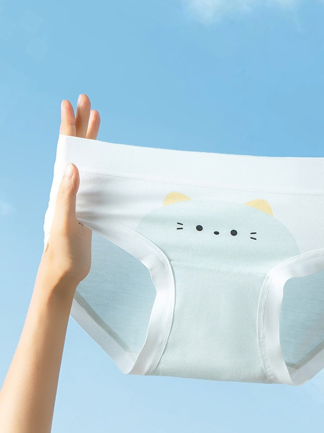 No Show Seamless Hipster Panties for Womens, Combo Pack - 5 Pcs, Multicolor