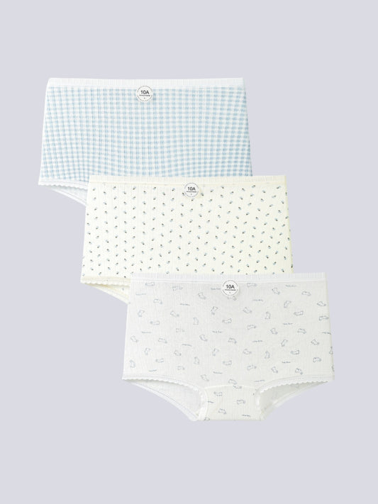 Tom & Gee Womens Cotton Boyshort Panty Full Coverage High Waist Soft Stretchable, Pack of 3