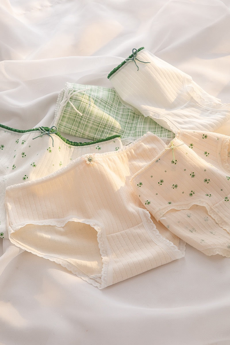 Women’s Cotton Mid-Rise Printed Hipster Panties, Pack Of 5, Multicolor